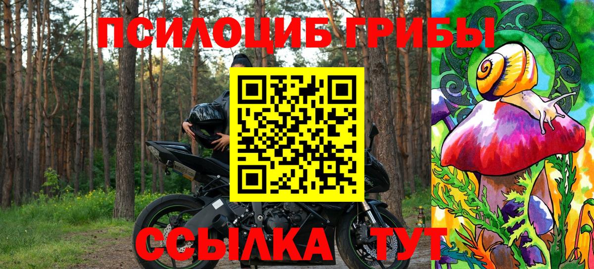 Галлюциногенные грибы Magic Shrooms Великие Луки
