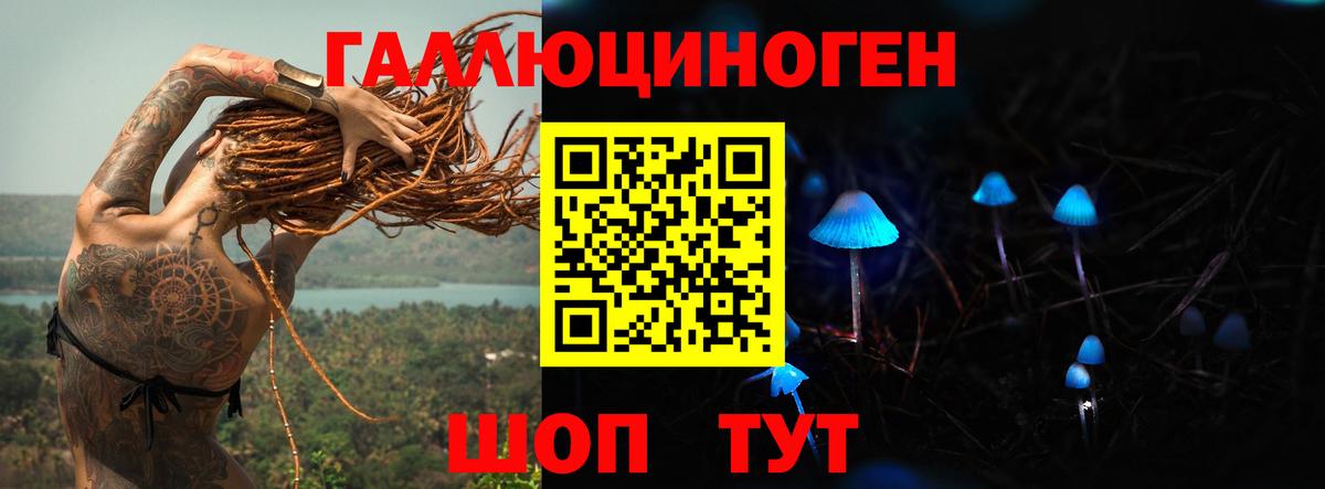 Псилоцибиновые грибы Psilocybe  Вход с VPN  Великие Луки  Галлюциногенные грибы мицелий 
